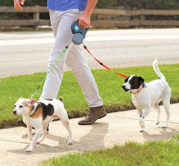 No more tangle with this dual leash