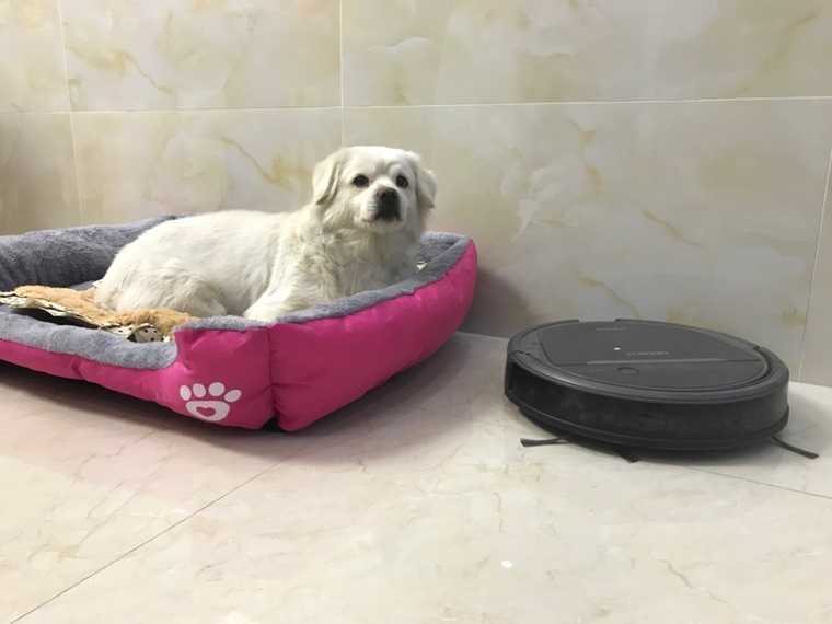 Fluffy Dog Bed - For small, medium and large dog | WadoSam